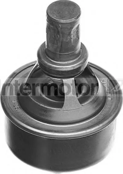 Термостат, охлаждающая жидкость Intermotor STANDARD купить