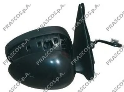 Наружное зеркало PRASCO купить