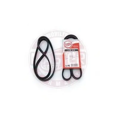 V-Ribbed Belts MASTER-SPORT купить