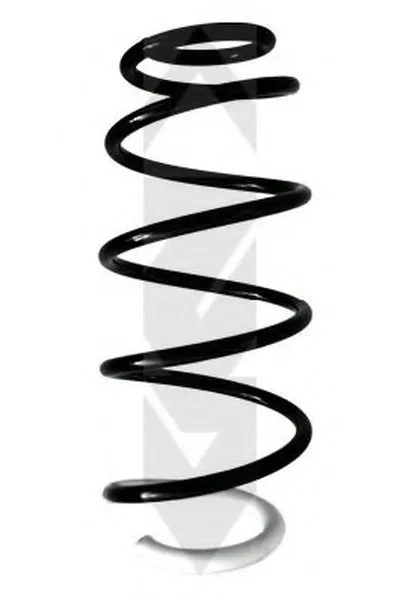 винтовая пружина SPIDAN купить
