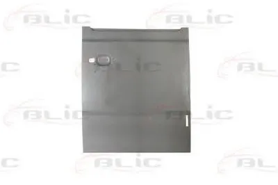 Задняя дверь BLIC купить