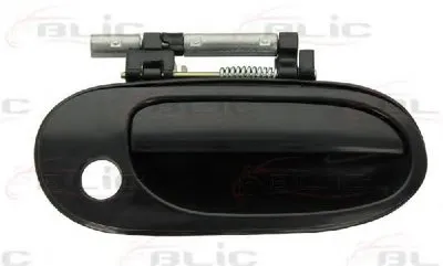 Ручка двери BLIC купить