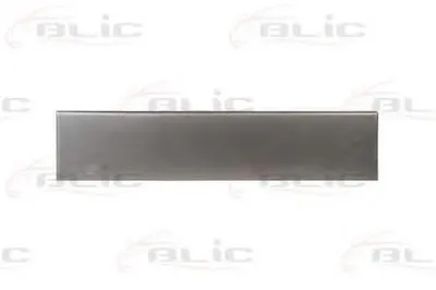 Задняя дверь BLIC купить