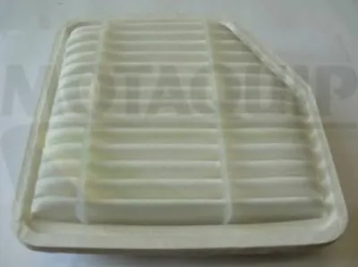 Воздушный фильтр MOTAQUIP купить