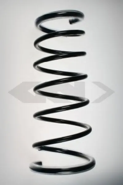 винтовая пружина SPIDAN купить