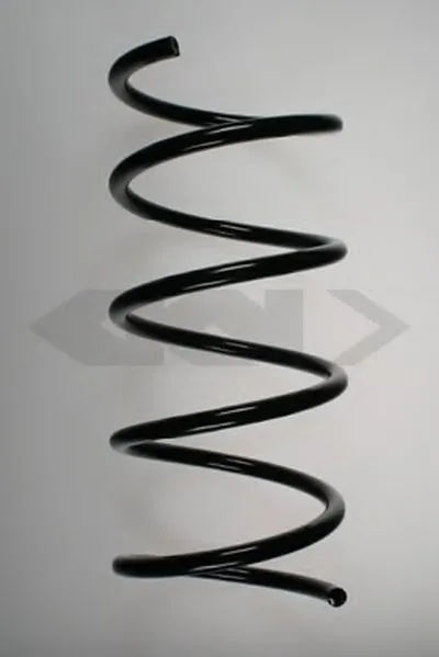 винтовая пружина SPIDAN купить