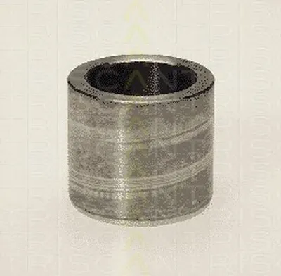 Поршень, корпус скобы тормоза TRISCAN купить