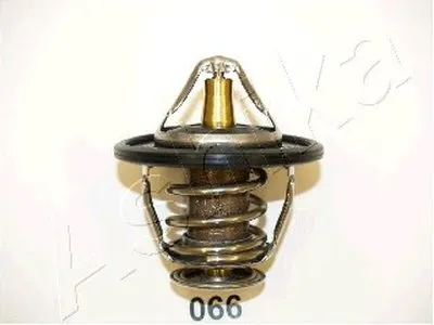 Термостат, охлаждающая жидкость ASHIKA купить