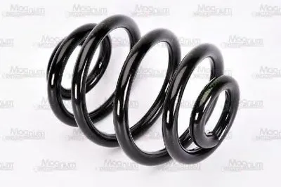 винтовая пружина Magnum Technology купить