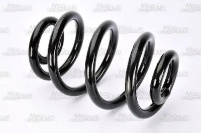 винтовая пружина Magnum Technology купить