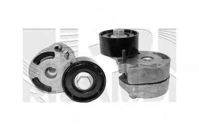 Натяжитель ремня, клиновой зубча AUTOTEAM купить