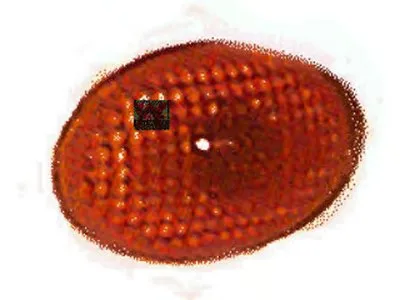 Фонарь указателя поворота VAN WEZEL купить