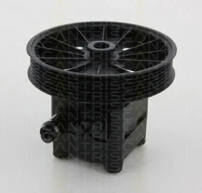 Гидравлический насос, рулевое управление TRISCAN купить