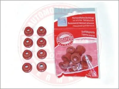 Уплотнительное кольцо, стержень кла a MASTER-SPORT купить
