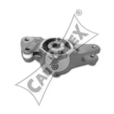 Натяжная планка, поликлиновой ремень CAUTEX купить