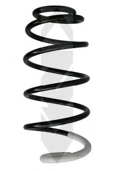 винтовая пружина SPIDAN купить