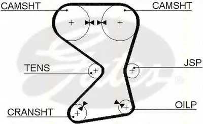 Ремень ГРМ TRISCAN купить