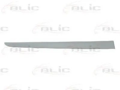 Облицовка / защитная накладка, дверь BLIC купить