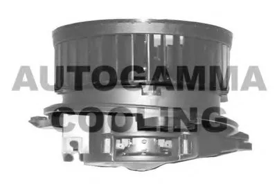 Вентиляция салона AUTOGAMMA купить