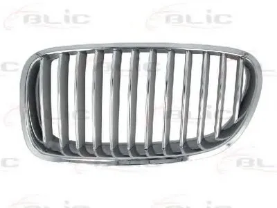 Решетка радиатора BLIC купить