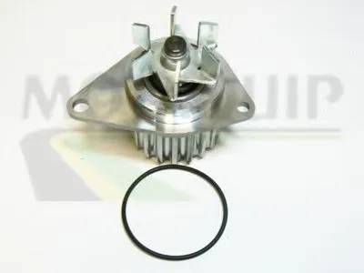 Водяной насос MOTAQUIP купить