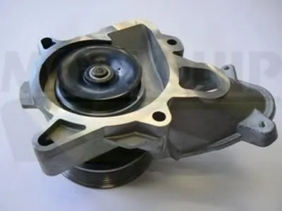 Водяной насос MOTAQUIP купить