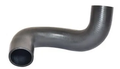 Трубка нагнетаемого воздуха BUGIAD купить