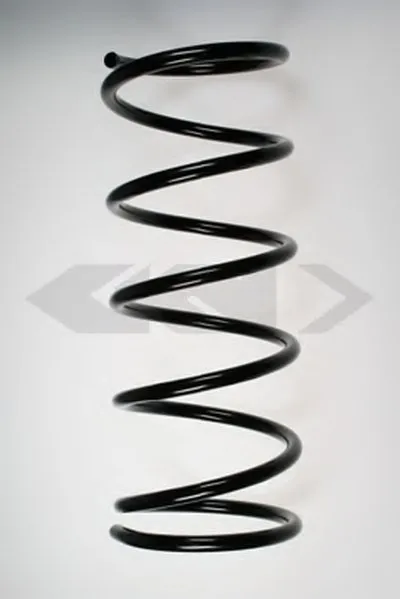 винтовая пружина SPIDAN купить