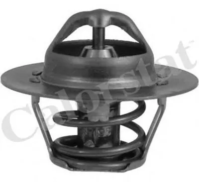 Термостат, охлаждающая жидкость CALORSTAT by Vernet купить