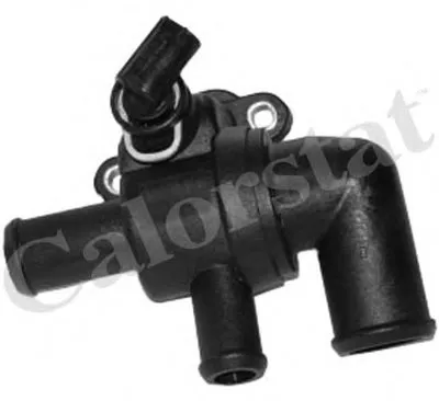 Термостат, охлаждающая жидкость CALORSTAT by Vernet купить