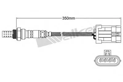 Лямда-зонд WALKER PRODUCTS купить