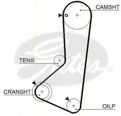 Ремень ГРМ TRISCAN купить