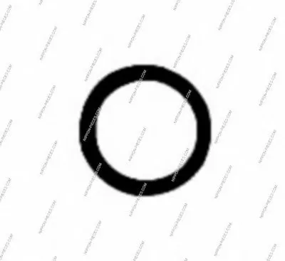 Уплотнительное кольцо, труба выхлопного газа NPS купить