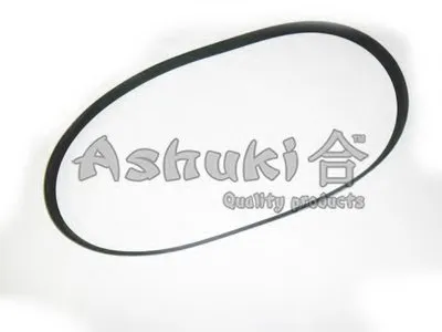 V-Ribbed Belts ASHUKI купить