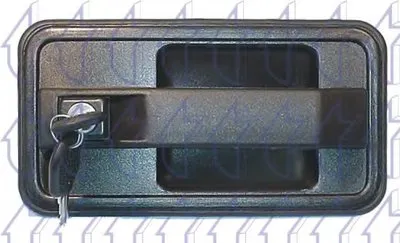 Ручка двери TRICLO купить