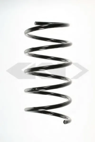 винтовая пружина SPIDAN купить