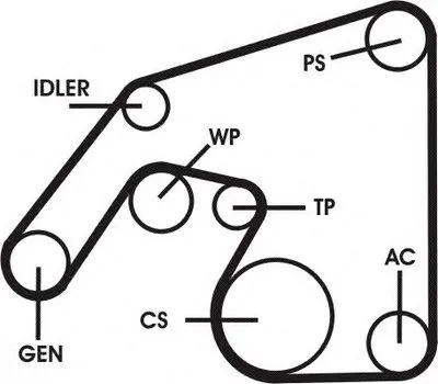 Поликлиновой ременный комплект CONTITECH купить