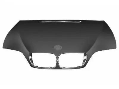 Капот двигателя VAN WEZEL купить