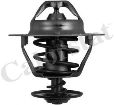 Термостат, охлаждающая жидкость CALORSTAT by Vernet купить