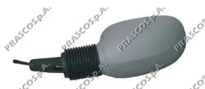 Наружное зеркало PRASCO купить