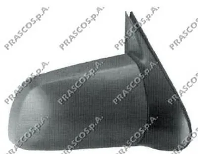 Наружное зеркало PRASCO купить