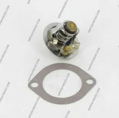 Термостат, охлаждающая жидкость NPS купить