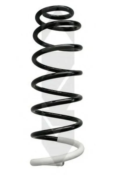 винтовая пружина SPIDAN купить