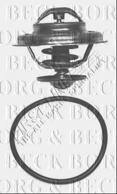 Термостат, охлаждающая жидкость BORG & BECK купить