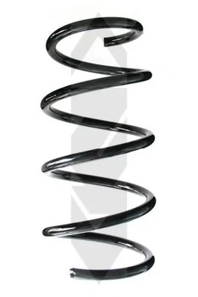 винтовая пружина SPIDAN купить