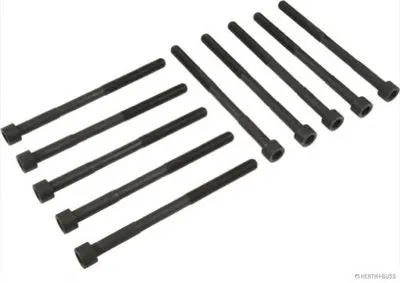 Комплект болтов головки цилидра HERTH+BUSS JAKOPARTS купить