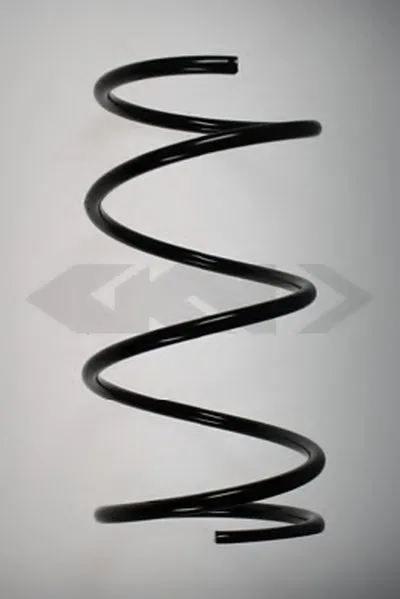 винтовая пружина SPIDAN купить