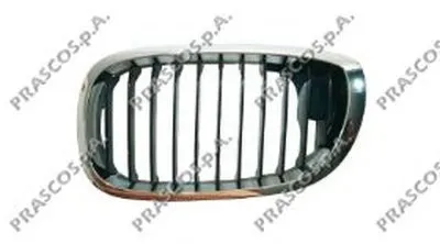 Решетка радиатора PRASCO купить