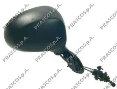 Наружное зеркало PRASCO купить