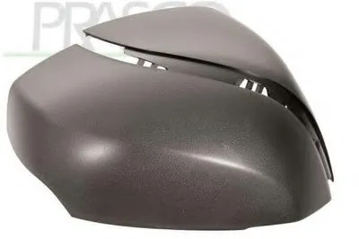 Покрытие, внешнее зеркало PRASCO купить